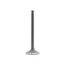 Iv136 Dnj Engine Components Intake Valve-dohc 24 Valves
