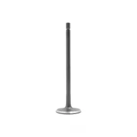 Iv149 Dnj Engine Components Intake Valve-vin C Sohc 16 Valves