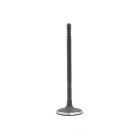 Iv151 Dnj Engine Components Intake Valve-vin X Dohc Eng Code Edz 16 Valves