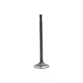 Iv201 Dnj Engine Components Intake Valve-sohc 8 Valves