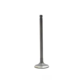 Iv212 Dnj Engine Components Intake Valve-dohc Eng Code B18a1 16 Valves Fits 1990 Integra 1.8l-l4