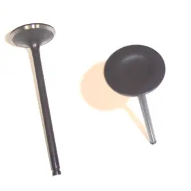 Iv219 Dnj Engine Components Intake Valve For 90-98 Acura Honda Accord Prelude Tl Vigor