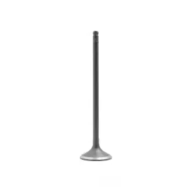 D17a1 Dnj Engine Components Iv295 Intake Valve-sohc Eng Code 16 Valves
