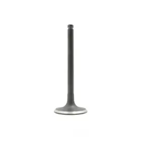 Iv300 Dnj Engine Components Intake Valve-vin L Sohc 8 Valves
