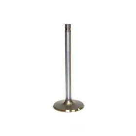 Iv3111 Dnj Engine Components Intake Valve-vin N Ohv 16 Valves