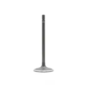 Iv3139a Dnj Engine Components Intake Valve Fits 2007-2010 Saturn Outlook Aura Vue Component