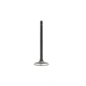 Iv4113 Dnj Engine Components Intake Valve-vin H Ohv Windsor 16 Valves