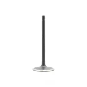 Iv4186a Dnj Engine Components Intake Valve-vin G Ohv 16 Valves