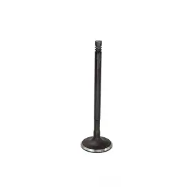 Iv4313 Dnj Engine Components Intake Valve Fits 2011-2017 Ford Fiesta