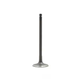 Iv528 Dnj Engine Components Intake Valve-dohc 24 Valves Fits 2004 Suzuki Verona 2.5l-l6