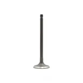 Iv530 Dnj Engine Components Intake Valve-sohc 16 Valves