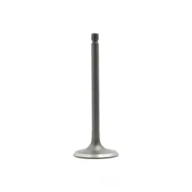 Ca20s Dnj Engine Components Iv603 Intake Valve-sohc Eng Code 8 Valves Fits 1982 Stanza 2.0l-l4