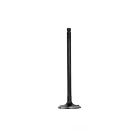 Iv678 Dnj Engine Components Intake Valve Fits 2011-2015 Nissan Juke