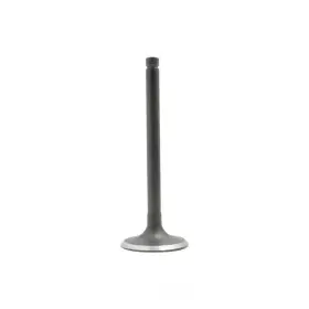 Iv723 Dnj Engine Components Intake Valve-ohv 8 Valves