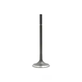 Ez30d Dnj Engine Components Iv727 Intake Valve-dohc Eng Code 24 Valves