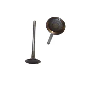 Iv802 Dnj Engine Components Intake Valve For Select 05-17 Audi Volkswagen Models