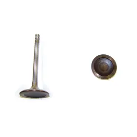 Iv808 Dnj Engine Components Intake Valve For Select 93-06 Audi Volkswagen Models