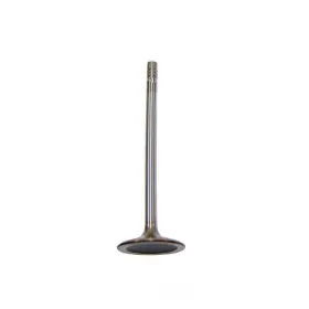 Iv814 Dnj Engine Components Intake Valve-dohc Eng Code Bkh 24 Valves