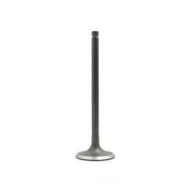 Iv907 Dnj Engine Components Intake Valve-dohc Eng Code 5sfe 16 Valves
