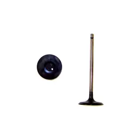 Iv954 Dnj Engine Components Intake Valve For 05-15 Toyota 4runner Tacoma