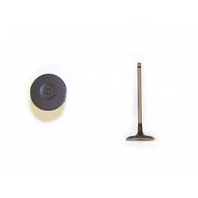 Dnj Engine Components Iv968 Intake Valve For Select 05-19 Lexus Toyota Models