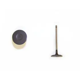 Iv968 Dnj Engine Components Intake Valve For Select 05-19 Lexus Toyota Models