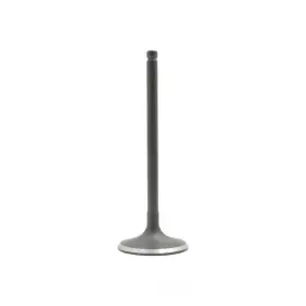 Iv971 Dnj Engine Components Intake Valve