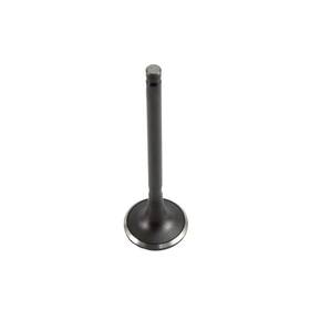 Dnj Ev139 Exhaust Valve Fits 2003-2006 Hyundai Santa Fe 03-06 Kia Sorento