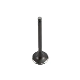 Ev139 Dnj Exhaust Valve Fits 2003-2006 Hyundai Santa Fe 03-06 Kia Sorento