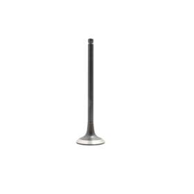 Dnj Ev190a Exhaust Valve Fits 2015-2019 Hyundai Sonata 12-19 Accent