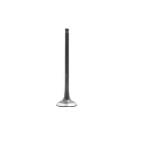 Ev190a Dnj Exhaust Valve Fits 2015-2019 Hyundai Sonata 12-19 Accent