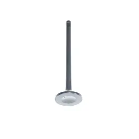 Ev200a Dnj Meets Or Exceeds Oe Specifications Exhaust Valve Direct Fit
