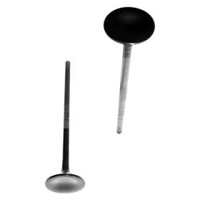 Ev219 Dnj For Honda Accord 1990-1997 Engine Components Exhaust Valve