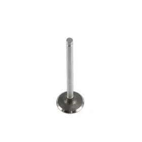 Ev3112 Dnj Exhaust Valve Fits 1991-1996 Oldsmobile Cutlass Supreme
