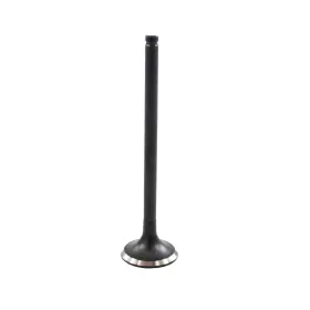 Ev407 Dnj Exhaust Valve Direct Fit
