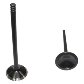 Ev4120 Dnj For Ford F-150 1997-2008 Engine Components Exhaust Valve