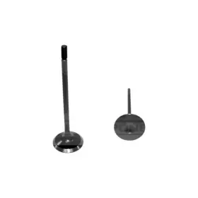 Ev4162 Dnj For Ford Thunderbird 2002-2005 Engine Components Exhaust Valve