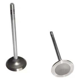 Ev448 Dnj For Ford Ranger 1995-2001 Engine Components Exhaust Valve