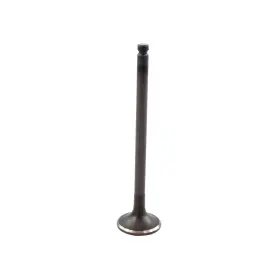 Ev451 Dnj Exhaust Valve Direct Fit