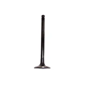 Ev455 Dnj Exhaust Valve Fits 1993-2002 Mazda 626 95-02 Millenia