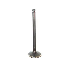 Ev470 Dnj Exhaust Valve Direct Fit