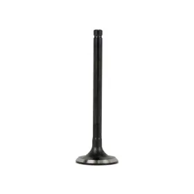Ev520 Dnj Exhaust Valve Direct Fit