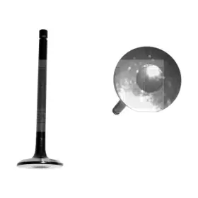Ev530 Dnj For Chevy Tracker 1998-2000 Engine Components Exhaust Valve