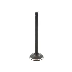 Ev603 Dnj Meets Or Exceeds Oe Specifications Exhaust Valve Direct Fit