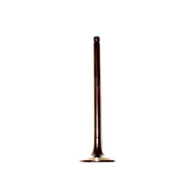 Ev630 Dnj Exhaust Valve Direct Fit