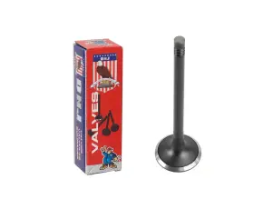 Ev802 Dnj Exhaust Valve For 05-15 Audi Volkswagen A3 Quattro 2.0l-5.2l V10 Dohc