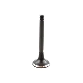 Ev806 Dnj Exhaust Valve Fits 1992-1994 Audi 100 92-94 Quattro