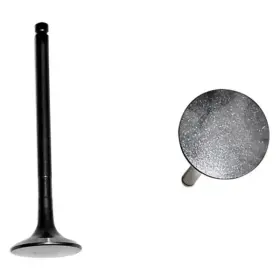 Ev970 Dnj For Lexus Ls400 1990-1996 Engine Components Exhaust Valve
