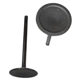 Iv1162 Dnj For Dodge Charger 2006-2009 Engine Components Intake Valve