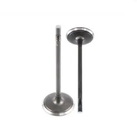 Iv1169 Dnj Intake Valve Direct Fit